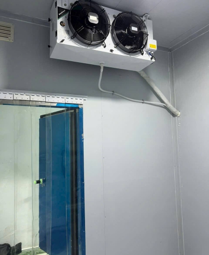 Dịch Vụ Sửa Kho Lạnh Tại Bình Chánh, Tp HCM – Sửa Chữa Kịp Thời, Đảm Bảo Chất Lượng