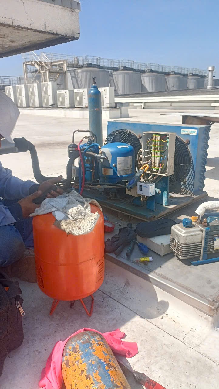 refrigeration technician checking the temperature of a cold storage